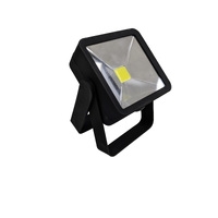 Wildtrak Work Light 3w image